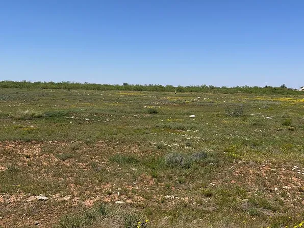 2251 Longhorn Dr, Stanton, TX 79782