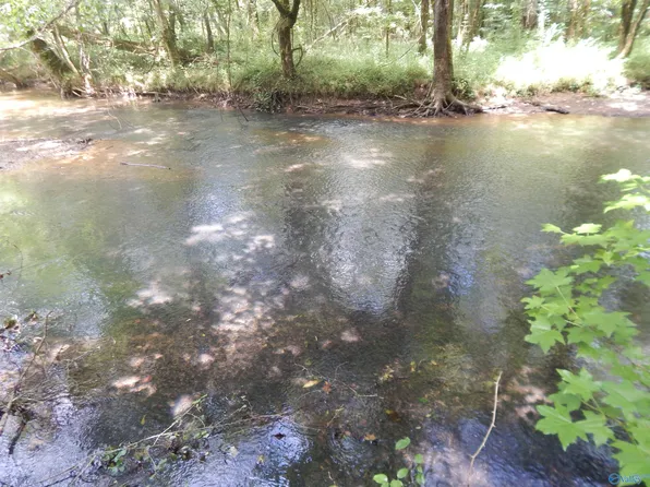 Bristow Cove Rd, Boaz, AL 35956