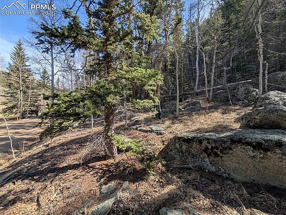 3rd image of 386 Brook Dr