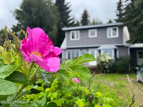 894 Lupine Ct, Homer, AK 99603