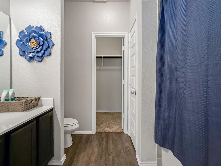 5323 Moni Rock Dr — Photo 12