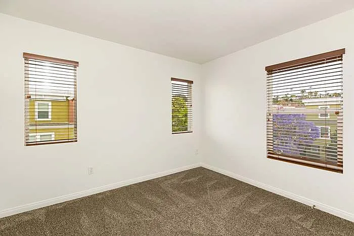 3516 Shoreline Bluff Ln — Photo 9