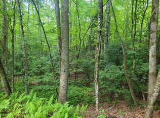 0 Wild Turkey Ln, Franklin, NC 28734