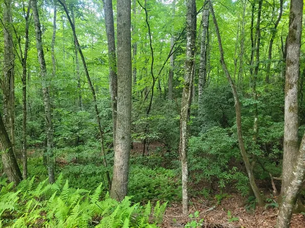 0 Wild Turkey Ln, Franklin, NC 28734