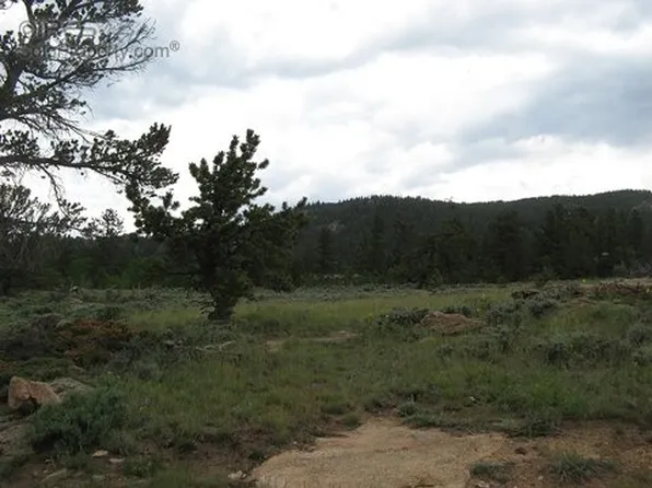 954 Nowata Dr, Red Feather Lakes, CO 80545