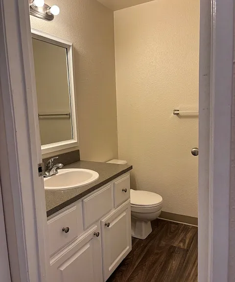 Bathroom with updated flooring, vanity and lighting