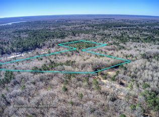 TBD County Road 3460, Hawkins, TX 75765