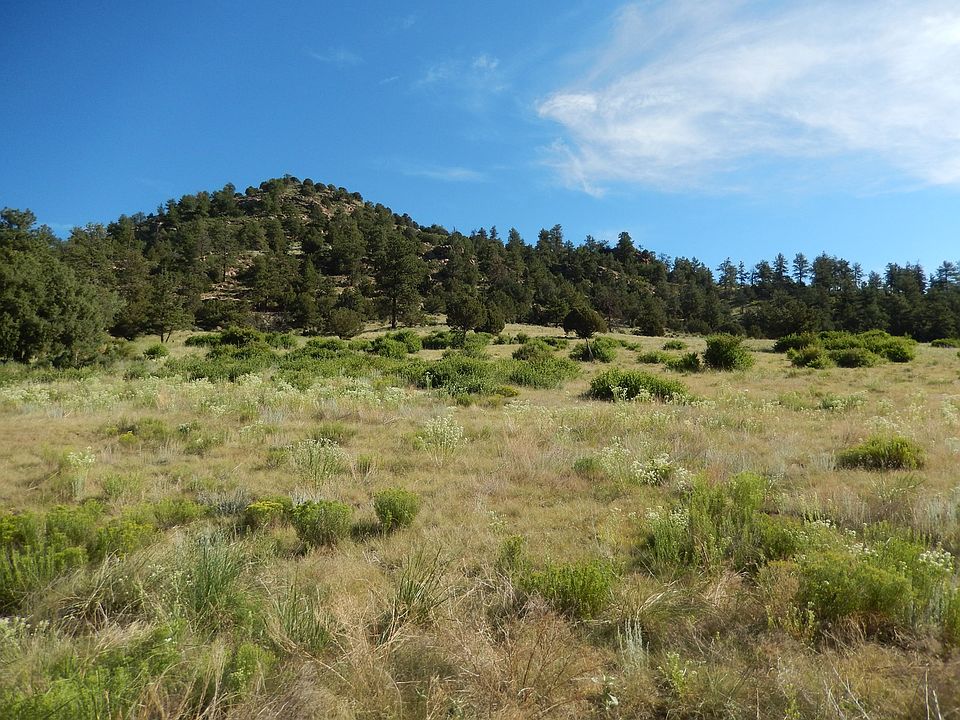 1st image of 1002 County Road 111