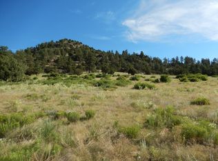 1002 County Road 111, Florissant, CO 80816