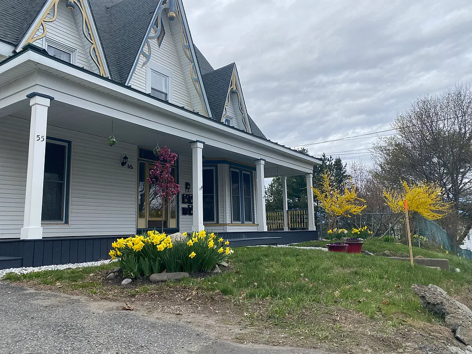 The front lawn welcomes you with a cheerful burst of spring color_sunny daffodils, vibrant yellow forsythia, and a newly planted baby apple tree ______