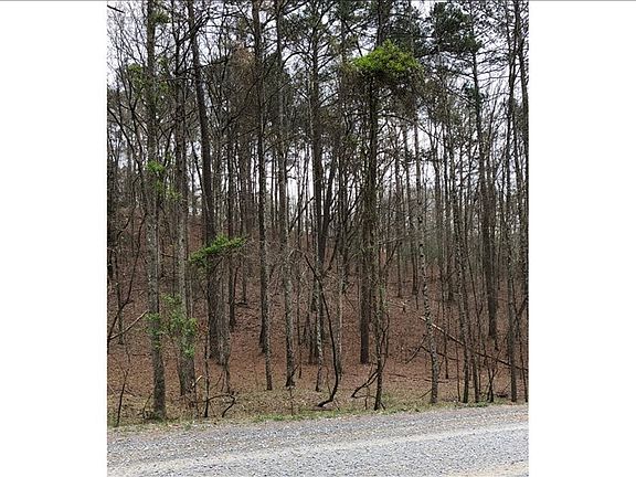 3rd image of Monticello Dr