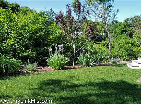 Rear yard exhibits matures landscaping and privacy