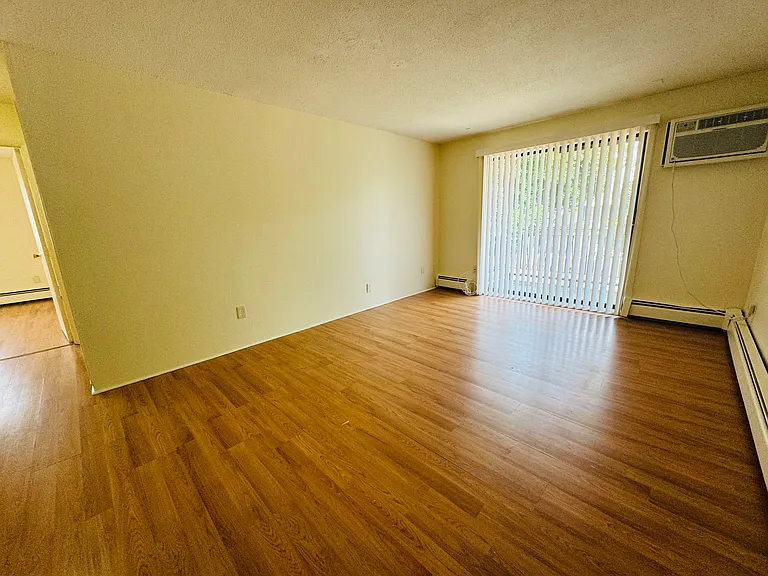 128 Mammoth Rd — Photo 7