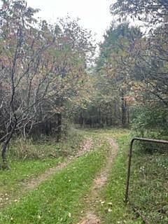 2nd image of 10000 Teachout Rd