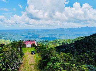 603 Bo Roncador, Utuado, PR 00641