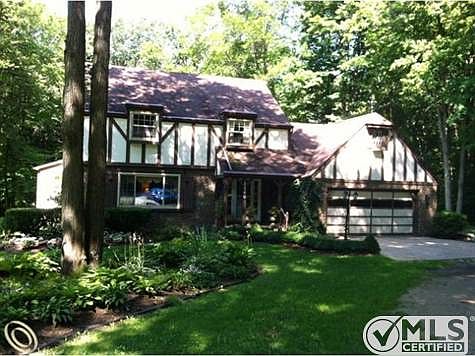 1140 Pine Tree