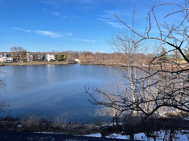 2nd image of 1711 Lakecliffe Dr APT B