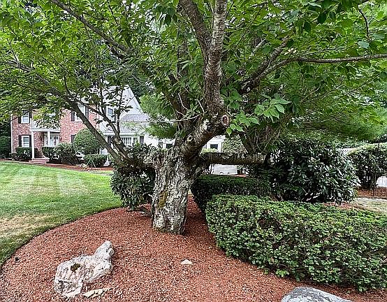 4th image of 37 Wildewood Dr