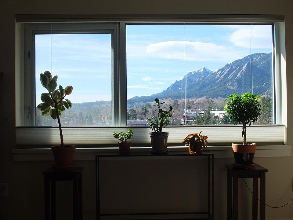 Flatiron views from the living room