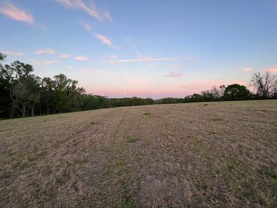 1491 Alachua County, Alachua, FL, 32615