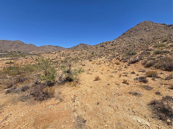 5th image of 0000 Smoketree