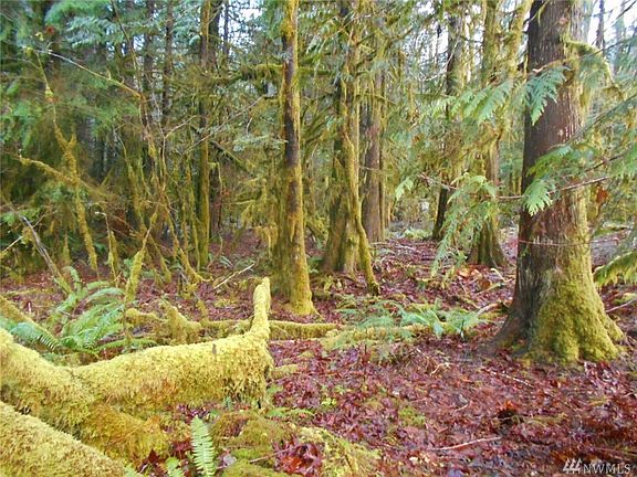4th image of 242 Mossy Ln