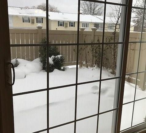 3rd image of 7970 Mentor Ave #10