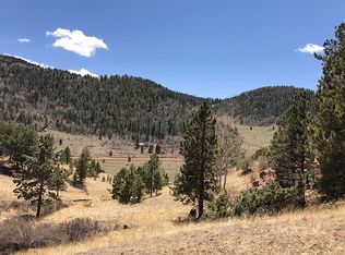 946 Copper Mountain Dr, Cripple Creek, CO 80813