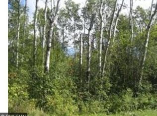 Lake Camile Dr, Randall, MN 56475