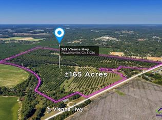 262 Vienna Hwy, Hawkinsville, GA 31036