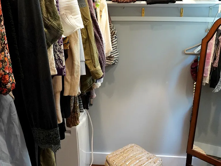 Primary Walk in Closet