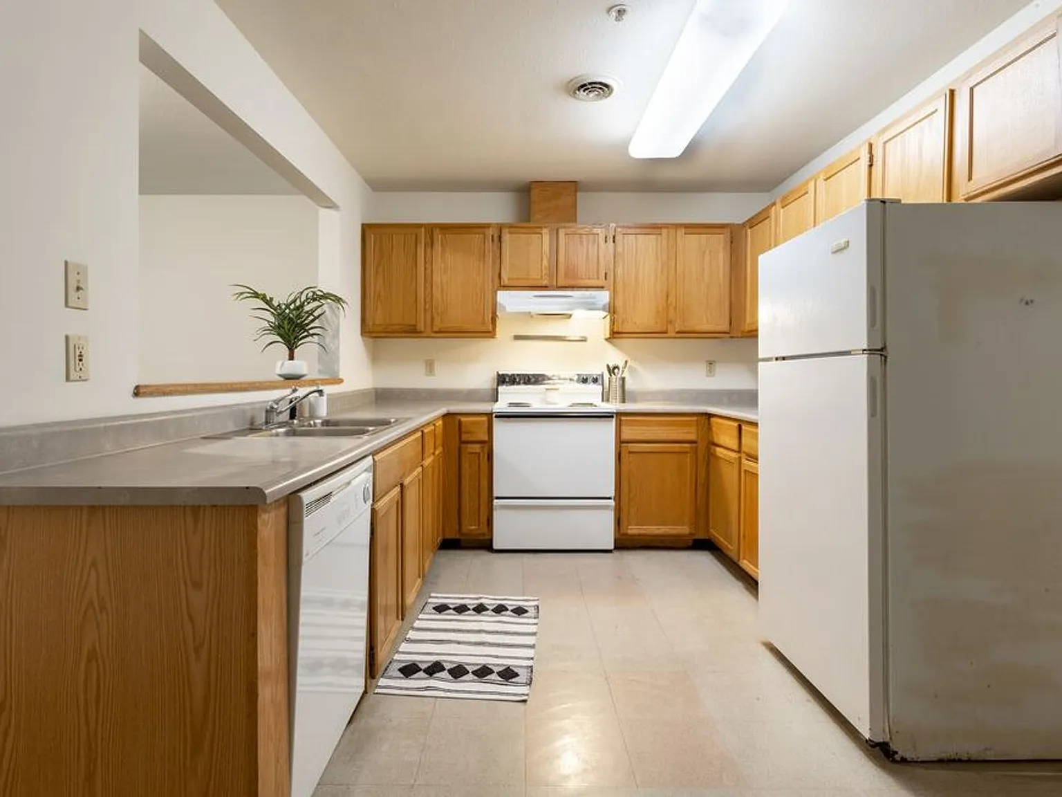 905 W Springfield Ave — Photo 4