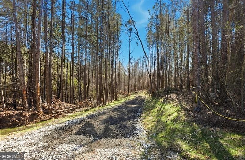 1st image of On Orlando Path