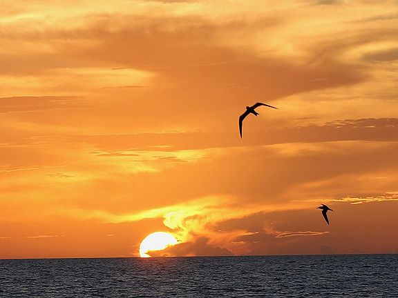 Bay Tree beach access sunset