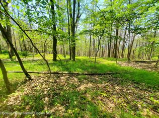 Tbd Piney Lane, Cragsmoor, NY 12420