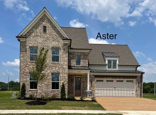 Aster Plan, The Meadows at Clara's Ridge, Collierville, TN 38017