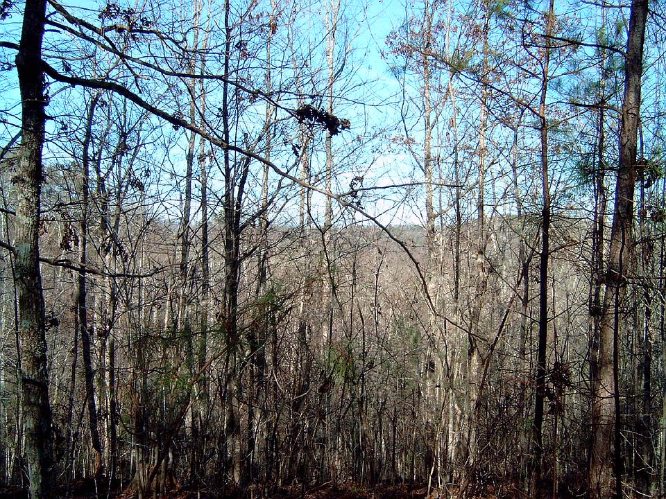 2nd image of Turtle Ridge Ln