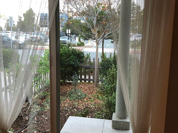 view from the front window toward the front yard