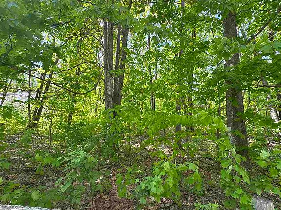 4th image of 8878 Spring Ridge Dr