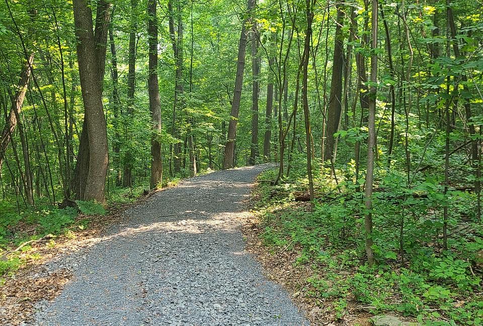2nd image of Mosby Spring Ln