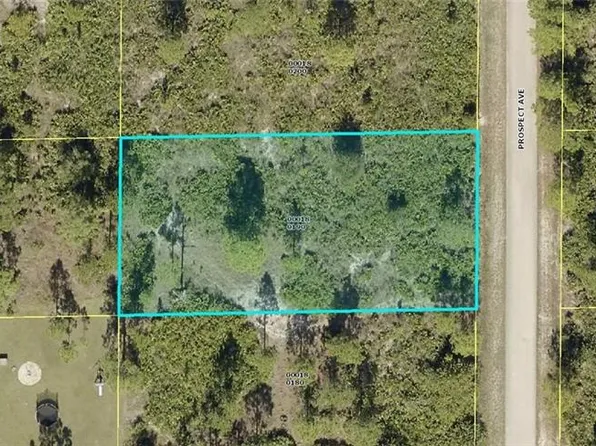 1313 Prospect AVE, LEHIGH ACRES, FL 33972