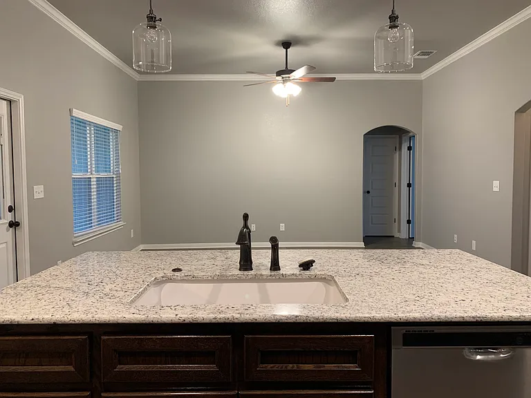 6007 Cactus Flower Ln — Photo 6