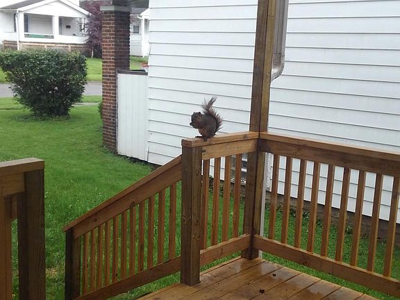 3rd image of 624 N Ward Ave APT C
