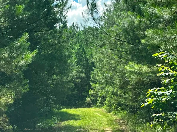 0 Old Chipley Rd, Pine Mountain, GA 31822