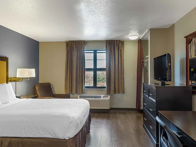 Studio Suite - 1 Queen Bed