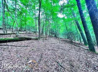 L3675 Fern Dr #3675, Ellijay, GA 30540