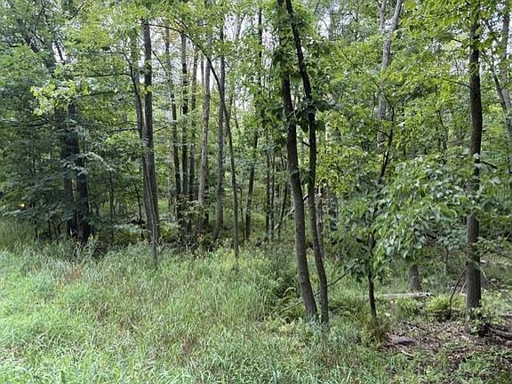 5th image of 16 Acres COUNTY ROAD B