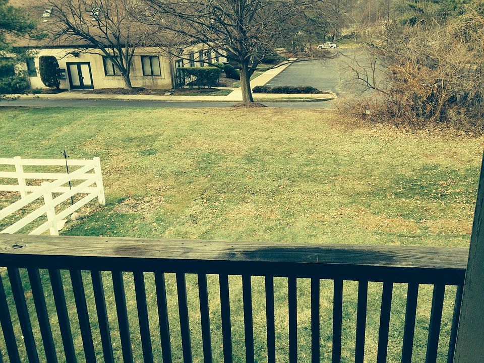 Shared backyard