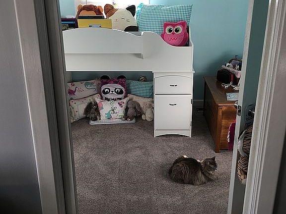 Bedroom #3