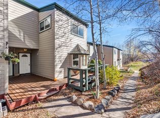 23035 Schussmark Trail UNIT B, Oak Creek, CO 80467